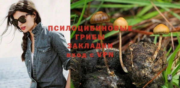 бошки Вяземский