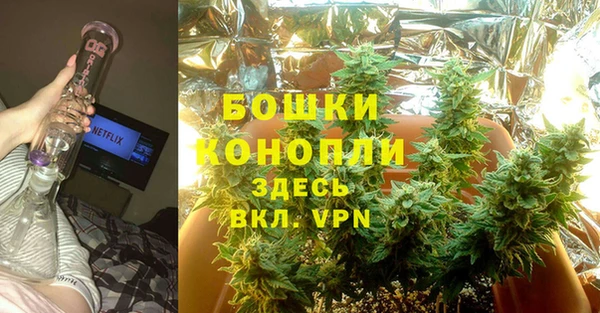 бошки Вяземский