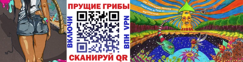Псилоцибиновые грибы Cubensis  Купить  Катайск 